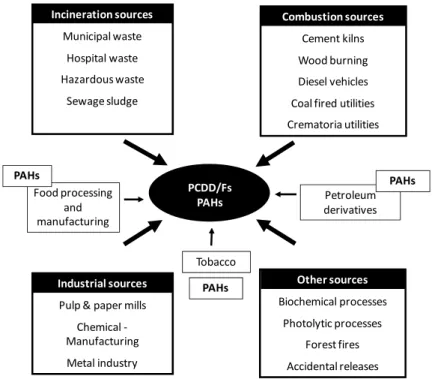 Figure 1. Sources of PCDD/Fs and PAHs. Adapted from Kulkarni et al, 2008. 