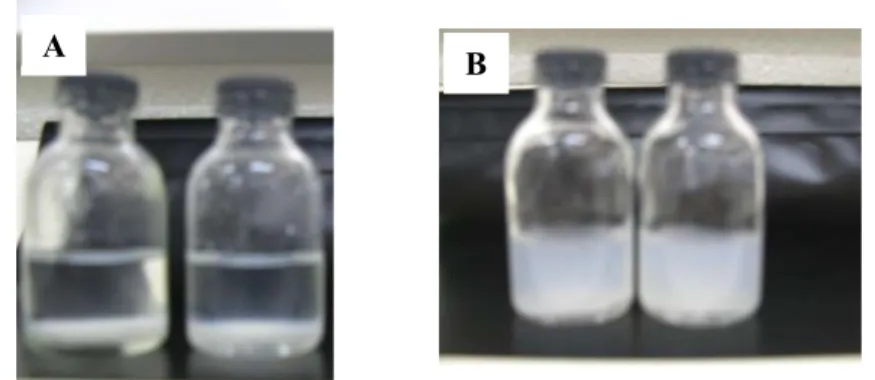 Figure  3.3–  Incorporation  of  ceftazidime  nanoparticles  in  CMC  0.5%  and  1% 