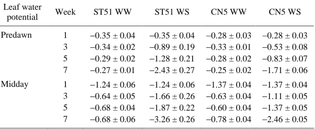 Table  1.  Predawn  and  midday  leaf  water  potential  (MPa)  in  Eucalyptus  globulus  Clones ST51 and CN5 subjected to water deficit