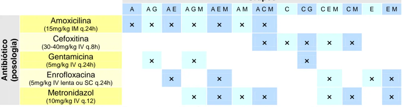 Tabela 8 – Organização em grupos conforme o protocolo de antibioterapia adoptado  Grupos  A  A G  A E  A G M  A E M  A M  A C M  C  C G  C E M  C M  E  E M  Antibiótico (posologia) Amoxicilina  (15mg/kg IM q.24h) ×  ×  ×  ×  ×  ×  × Cefoxitina (30-40mg/kg 