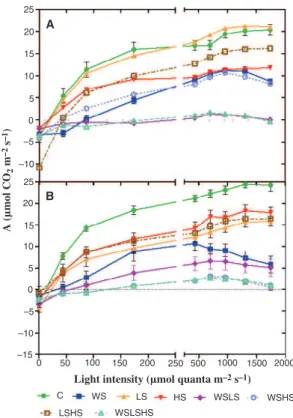 Fig. 3. Photosynthetic light response curves, measured in two grapevine varieties, Touriga Nacional (TN) (A) and Trincadeira (TR) (B)