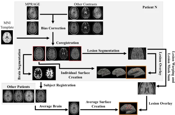 Figure 3.1: Schematic representation of the image processing pipeline starting from the individual data of one of the  patients