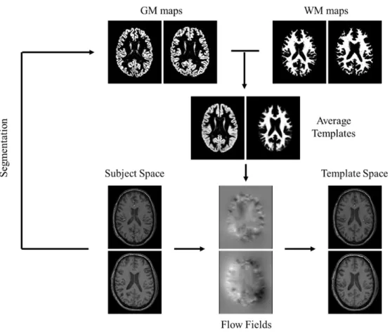 Figure 3.2: Schematic representation of the subject registration step. The MPRAGE segmented tissue maps are used  to create average templates