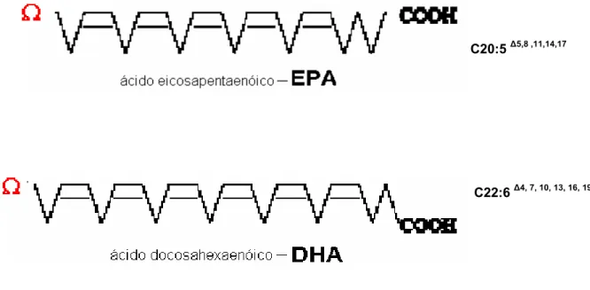 Figura 1. Esquema da estrutura dos ácidos graxos poliinsaturados ômega-3, EPA e DHA. Em  vermelho, a letra grega ômega, representando o último átomo de carbono no terminal metil da  cadeia