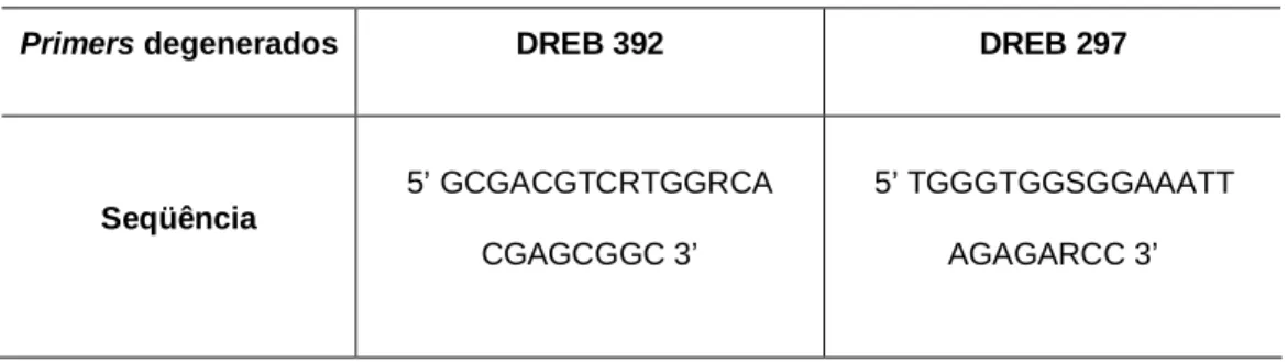 Tabela  1.  Primers  específicos  degenerados  utilizados  na  amplificação  do  fragmento  da  região codificante do gene DREB Ricinus communis L