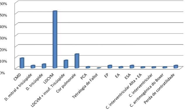 Gráfico 8 – Distribuição percentual das doenças cardíacas diagnosticadas nos canídeos apresentados a  consulta de cardiologia no IVP