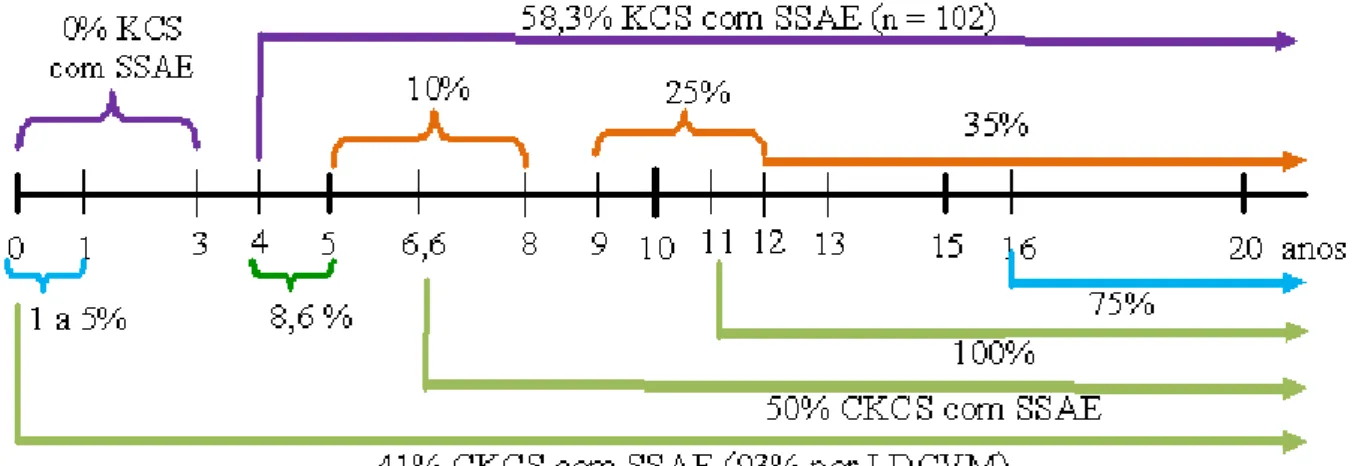 Figura  2  -  Representação  esquemática  da  prevalência  da  LDCVM  consoante  idade,  na  totalidade  da  população  canina  (em  cima  a  laranja),  na  população  canina  com  LDCVM  (em  baixo  a  azul),  em  CKCS (em baixo a verde) e em KCS (em cima