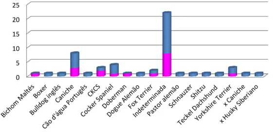 Gráfico 16 – Distribuição da amostra em estudo de acordo com a raça e o sexo dos canídeos