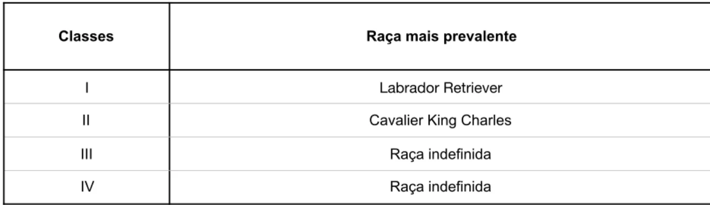 Tabela 19 – Raças mais prevalentes em cada classe considerada, em canídeos e felídeos