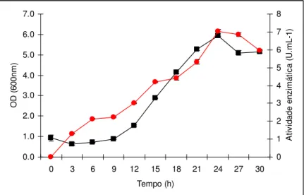 Figura  13.  Cinética  de  crescimento  e  produção  de  amilase  por  C.  flavus. 