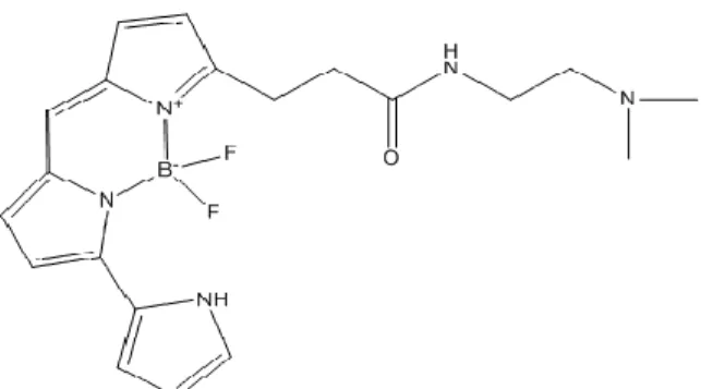Figura 1.1 Estrutura química do corante “Lysotracker” vermelho    (NAYLOR et al., 2009) 
