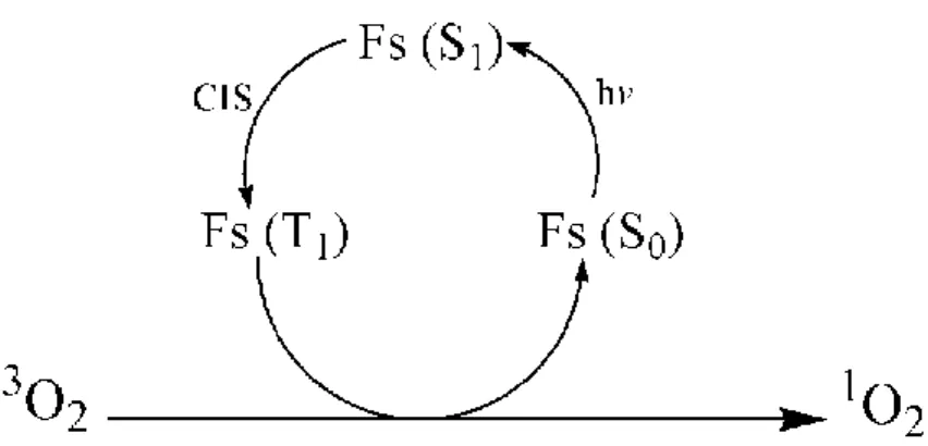 Figura  2.  Geração  fotodinâmica  de  oxigênio  singlete  ( 1 O 2 )  a  partir  de  oxigênio  triplete  ( 3 O 2 )