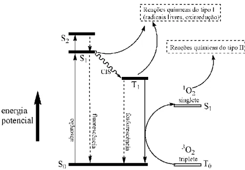 Figura 3. Diagrama de Jablonski representando a excitação e o relaxamento de um fotossensibilizante e  os  processos  fotodinâmicos  que  levam  às  reações  do  tipo  I  e  do  tipo  II