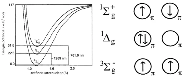 Figura  4.  Representação  dos  três  estados  energéticos  mais  baixos  do  oxigênio  molecular  (3)