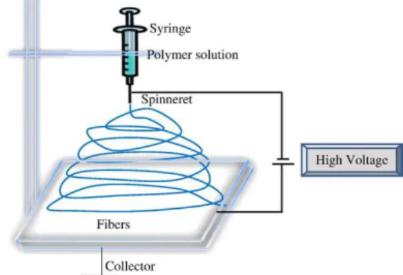 Figure 1.4. Typical setup of an electrospinning procedure. Adapted from ref.  29 . 