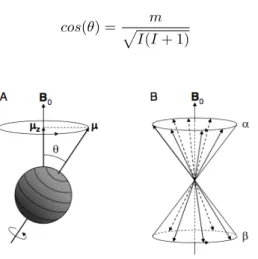 Figure 2.1: A) A nuclear spin precessing in the presence of B ~ 0 at an angle θ and amplitude along z quantized