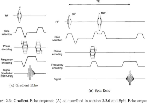 Figure 2.6: Gradient Echo sequence (A) as described in section 2.2.6 and Spin Echo sequence (B) as described in section 2.2.7 (Bernstein et al., 2004a).