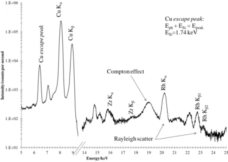 Figure 2.7 – Spectrum artifacts and characteristic signals from the used equipment.  