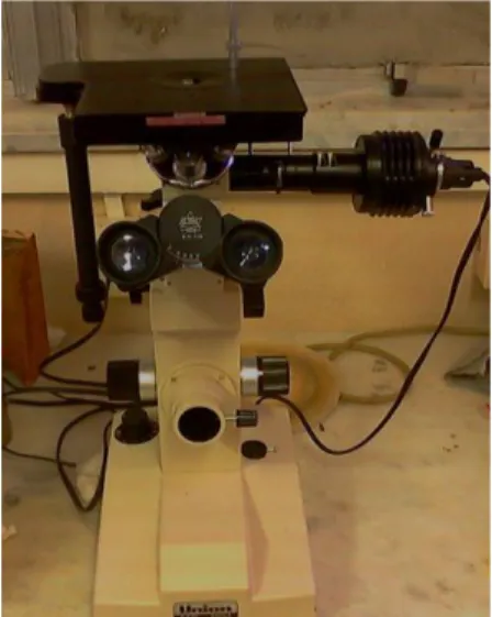 Figura 03- Microscópio Óptico. 