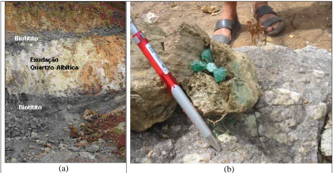 Figura 4: (a) Foto da Zona de Contato onde se distingue a Rocha Hospedeira da  mineralização esmeraldífera (biotitito = minério) e Veio / Exudação Quartzo-Albítica; 