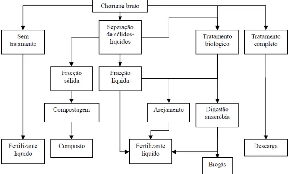 Figura  2  –  Opções  de  tratamento  de  efluentes  de  bovinicultura  (adaptado  de  Bicudo,  1999,  citado  por  Pereira, 2005)