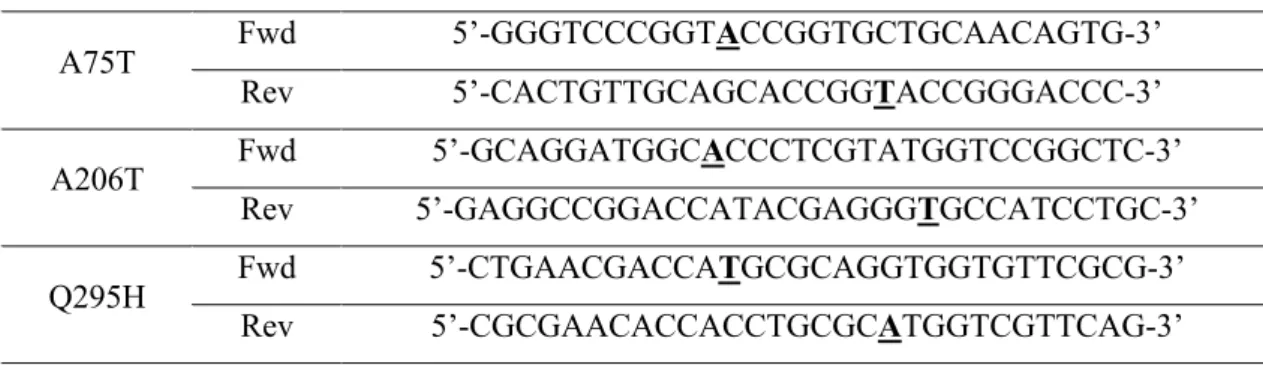 Table 2.1 - Primers used in the site-directed mutagenesis for the construction of different mutants
