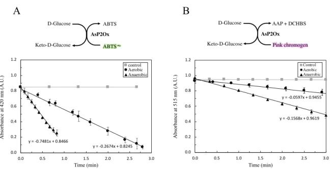 Figure 3.4 Preliminary spectrophotometric assay to test the bleaching of oxidized chromogens formed during wild-type  AsP2Ox reaction using D-glucose as electron donor