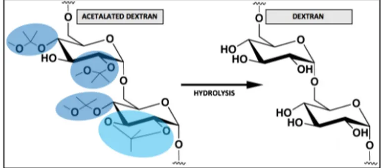Fig. 2 - AcDex and dextran chemical structures 