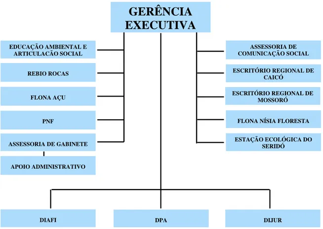 Figura 2 – Organograma funcional do Instituto Brasileiro do Meio Ambiente e dos  Recursos Renováveis do Rio Grande do Norte