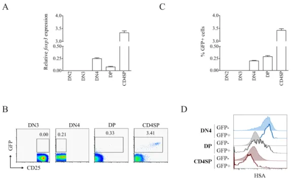 Fig. 2. Murine Foxp3 is expressed in pre-DP thymocytes. (A) Quantitative RT-PCR (qPCR) for  foxp3 in sorted thymocyte subsets from adult C57Bl/6 mice