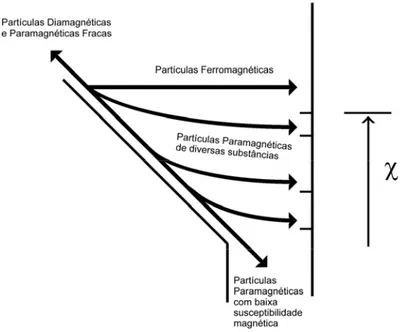 Figura 5 – Representação esquemática das trajectórias seguidas por todos os tipos de  partículas alimentadas ao sistema (baseado em Augusto e Martins (2002b))