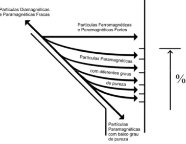 Figura 7 – Representação esquemática das trajectórias seguidas por todos os tipos de  partículas alimentadas ao sistema (baseado em Augusto e Martins (2002b))