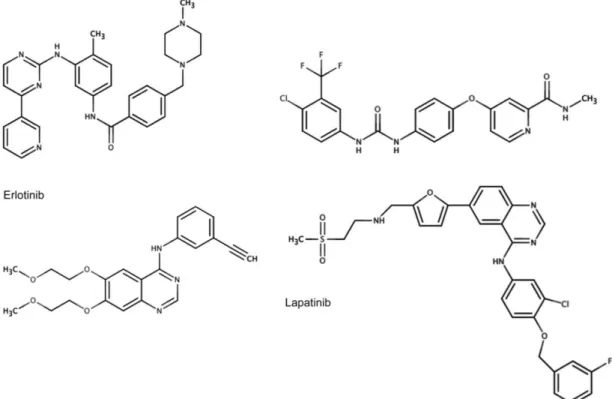 Figure 3: Chemical structures of SMIs examples. Adapted. 27   