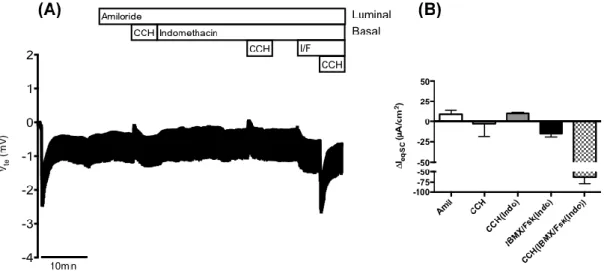 Figure  4.1  –  Results  from  Ussing  chamber  measurements  in  rectal  biopsies  from  patient  CFL26  (D1152H/F508del  genotype)