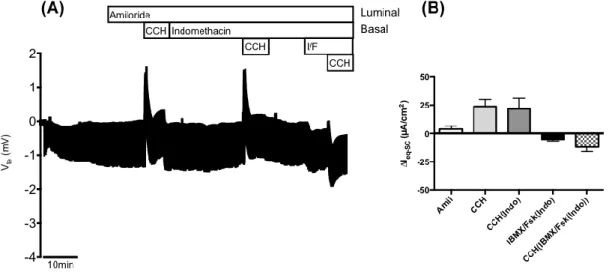 Figure  4.14  –  Results  from  Ussing  chamber  measurements  in  rectal  biopsies  from  patient  CFL49  (3849+10kbC&gt;T/dele2,3(21kb) genotype)