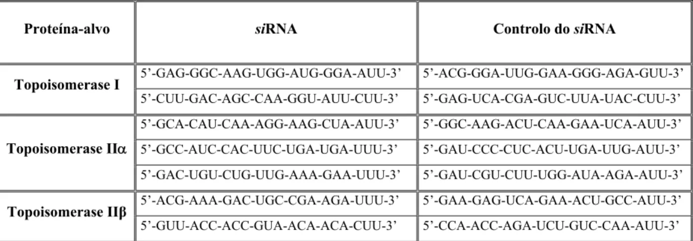Tabela III – Sequências de oligonucleótidos efectivas e de controlo usadas no silenciamento da  topoisomerase I, IIα e IIβ