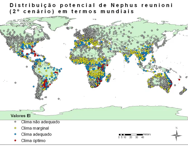 Figura 15 - Distribuição potencial de Nephus reunioni em termos mundiais (2º cenário)