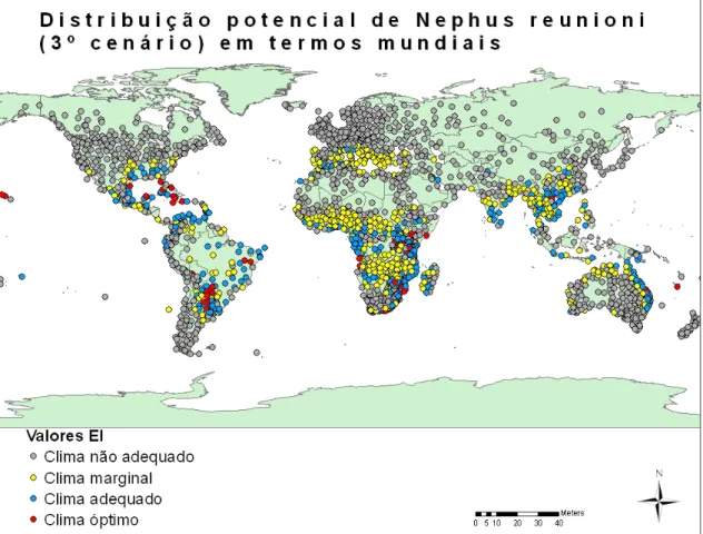 Figura 17 - Distribuição potencial de Nephus reunioni em termos mundiais (3º cenário)