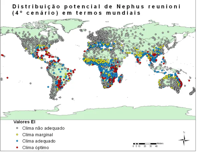 Figura 19 - Distribuição potencial de Nephus reunioni em termos mundiais (4º cenário)