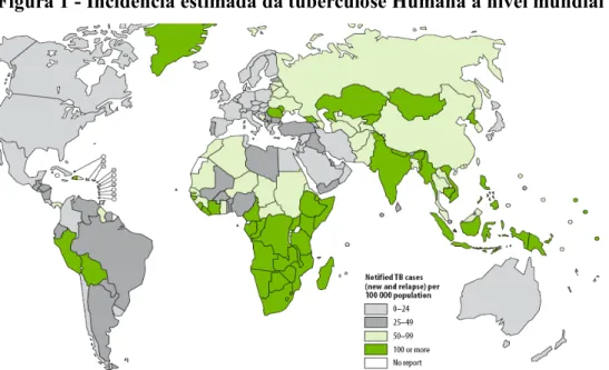 Figura 1 - Incidência estimada da tuberculose Humana a nível mundial 