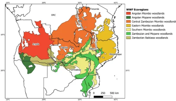 Figure 1. Geographical distribution of the Miombo–Mopane woodlands in the Zambezian phytoregion