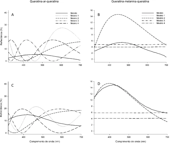 Figura 1.4. Espectros de reflectância obtidos das penas de machos de tiziu (linha sólida) e  espectros teóricos obtidos utilizando diferentes modelos de filme fino (linhas tracejadas),  considerando uma camada interna de ar (A e C) e de melanina (B e D), n