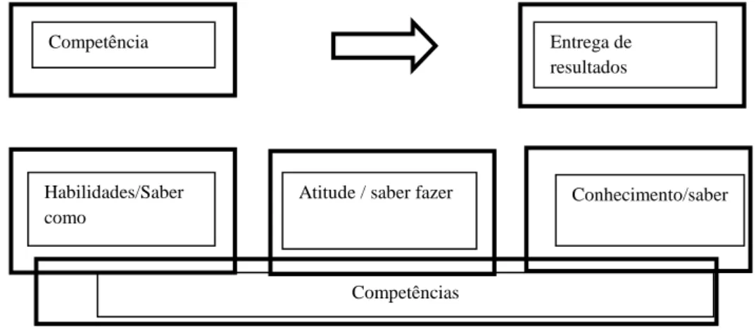 Figura 1. Resumo de competências 