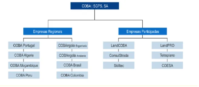 Figura 5 - Organograma da COBA SGPS 