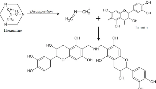 Figure  III.13.  Example  of  reaction  between  a  tannin  and  an  intermediate  species  formed  by  hexamine  decomposition (Pichelin et al., 1999)