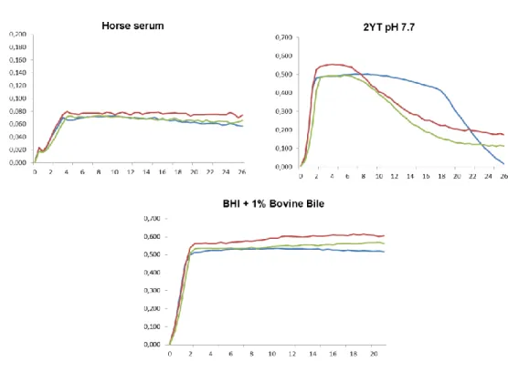 Figure  1  -  Growth  curves from  LN11  ( — ),  QSE123  ( — ) and  V583  ( — )  grown  in  two  media  simulating  infection (horse serum and BHI + 1%BB) and serum control medium (2YT pH 7.7) representing the mean  values from the three replicas