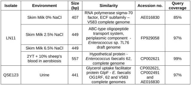 Table 4 – Differential bands identified by comparison with NCBI Nucleotide online database