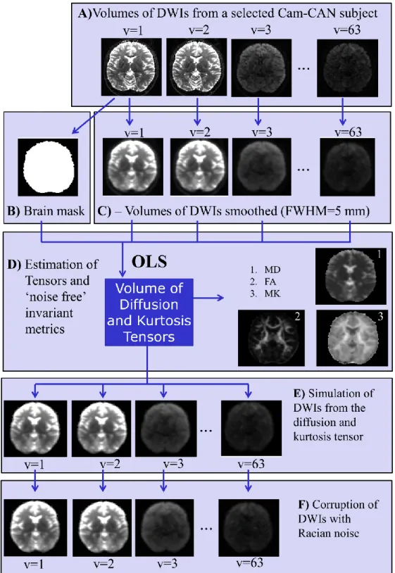 Figure 3.1 – Procedure used to simulate entire brain volumes of DWIs.  