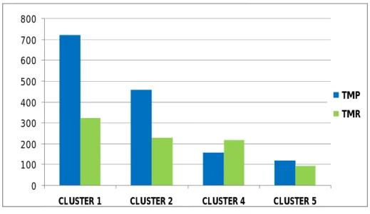 Gráfico 6 –Tempos Médio de Pagamento e Recebimento por Cluster (2009) 