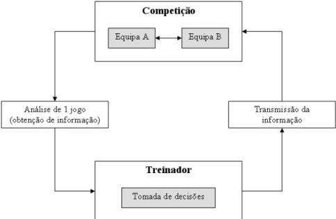 Figura 2: A observação em competição (adaptado de Ortega &amp; Contreras, 2000) 